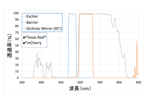 蛍光観察用フィルターセット分光特性