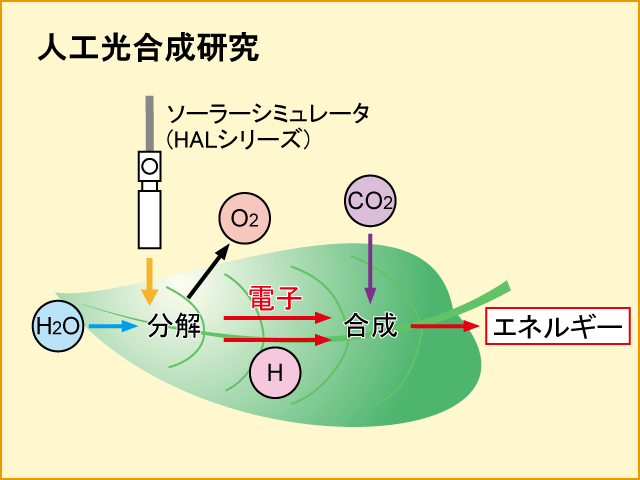 応用例人口光合成研究