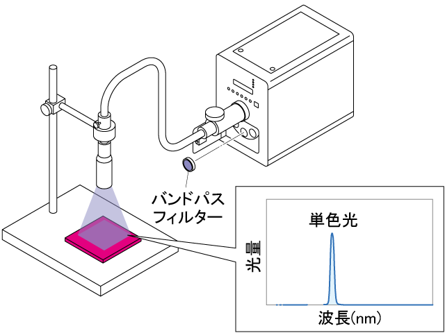 使用例ライトガイド照明セット