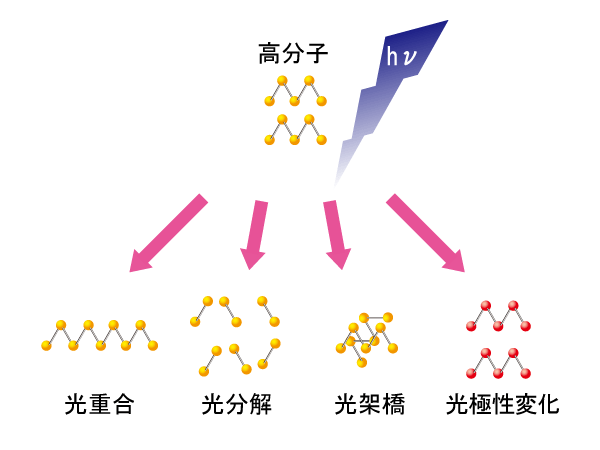 応用例光化学反応