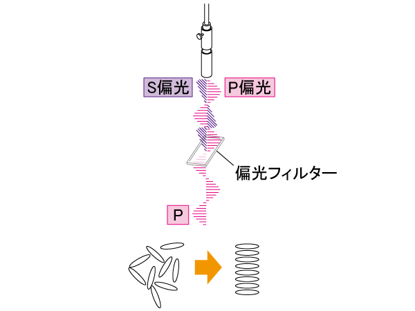 応用例偏光露光